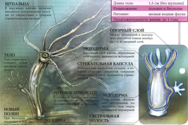 Гидра зайти кракен